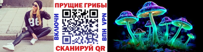 даркнет сайт  Вичуга  мега вход  Галлюциногенные грибы прущие грибы 